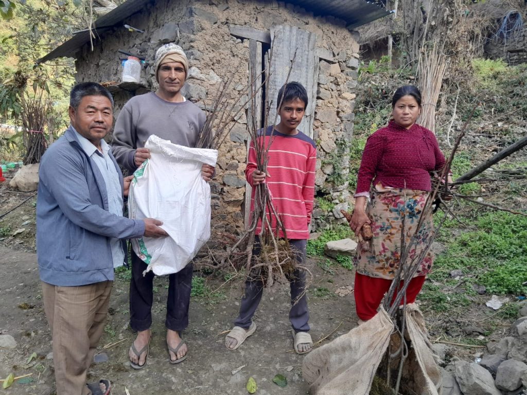 Four farmers stand together in front of a stone house in a rural hillside village, handing over bundles of young tree saplings and a white sack, preparing for plantation work.